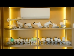 শো রুম ৩